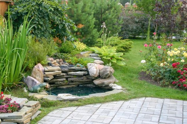 Professional Landscaping Services Near Me